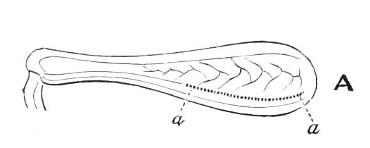 fig170