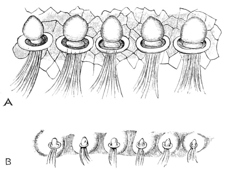 fig171