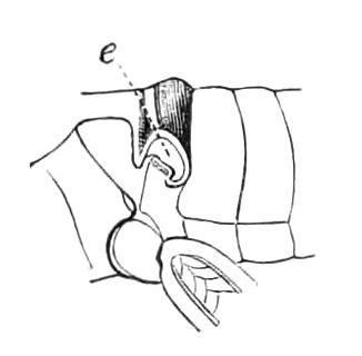 fig172