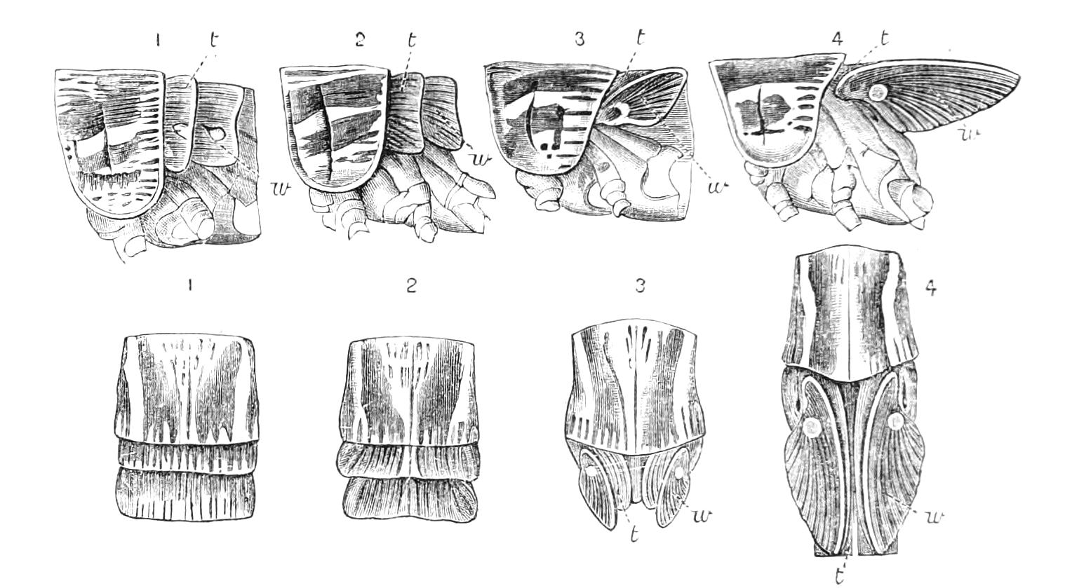 fig174