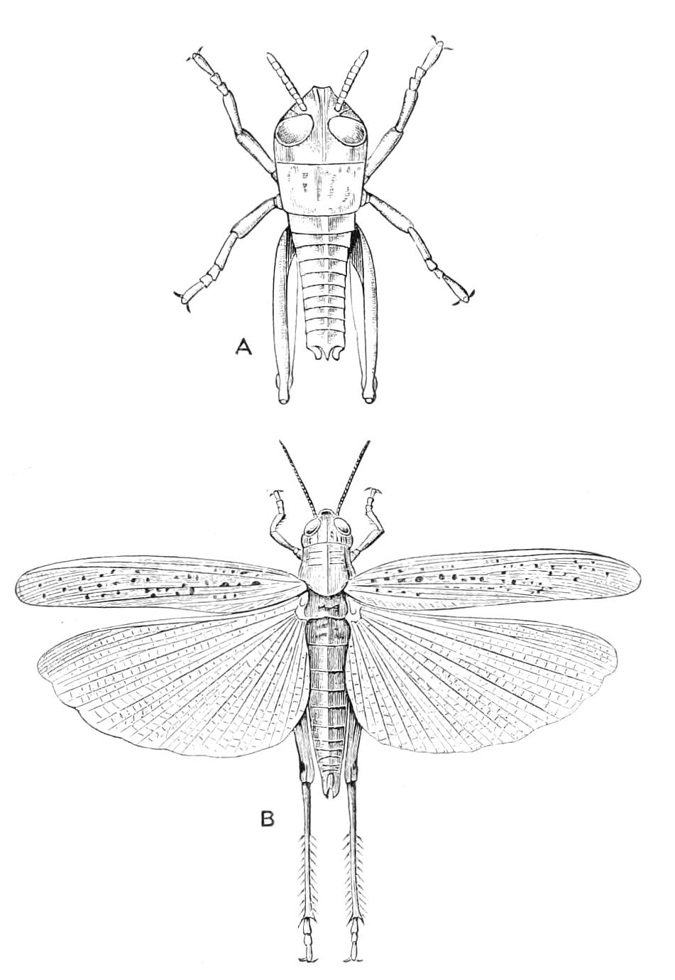 fig175