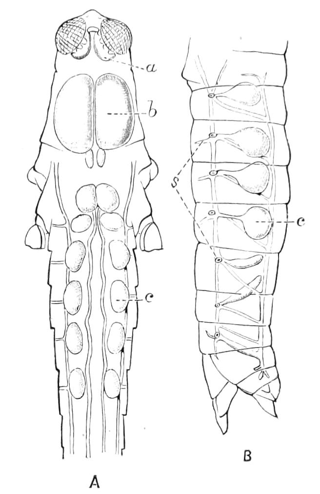 fig176