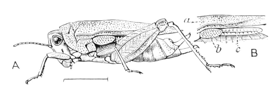 fig179