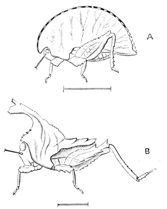fig180