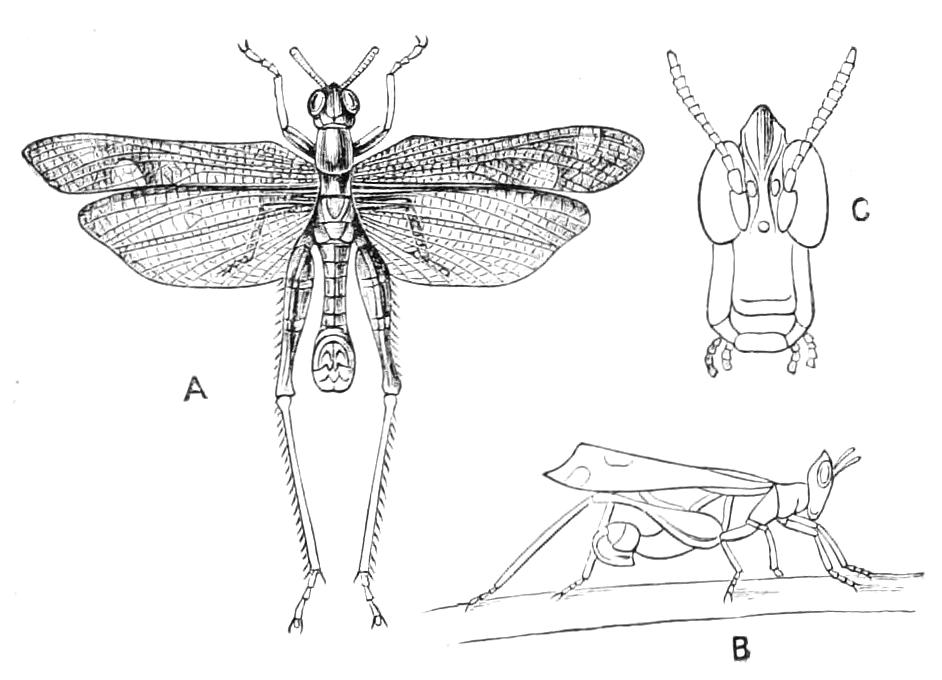 fig181