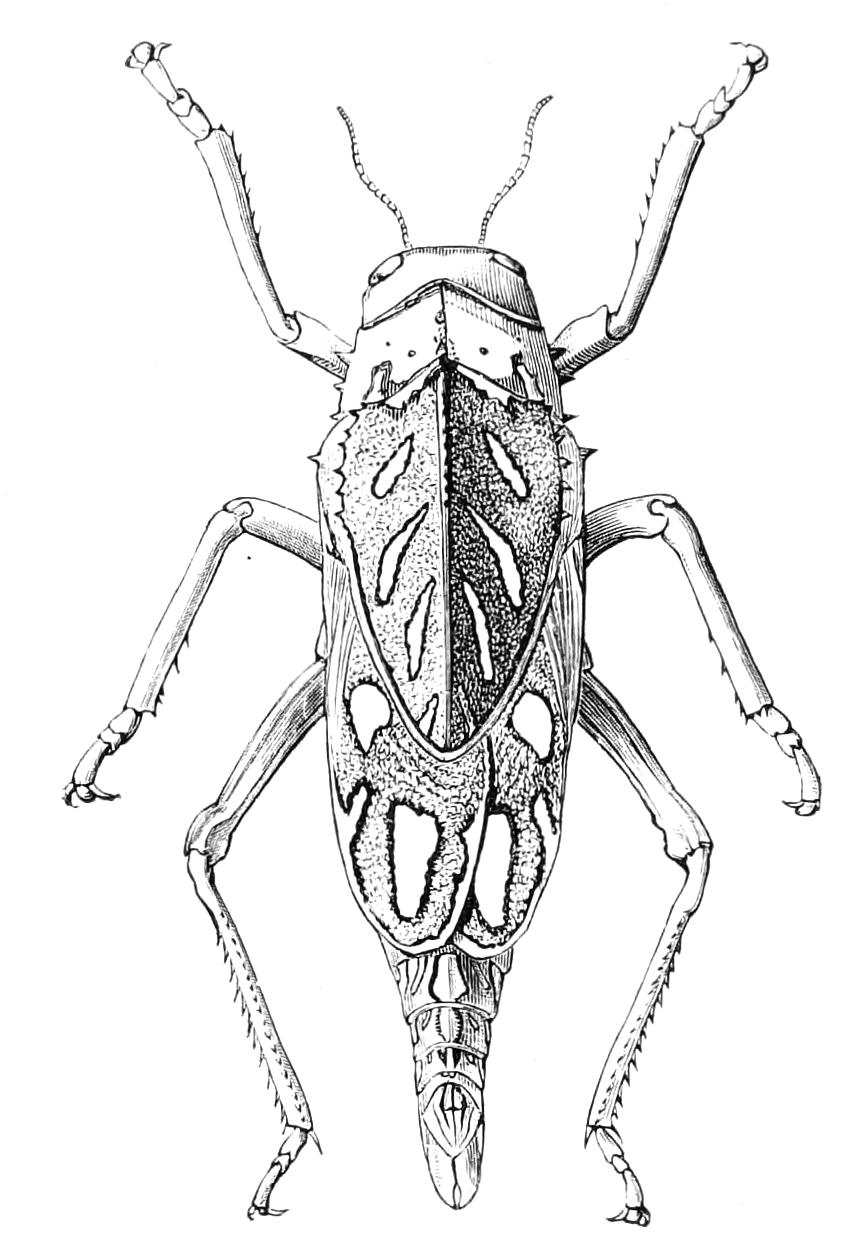 fig182