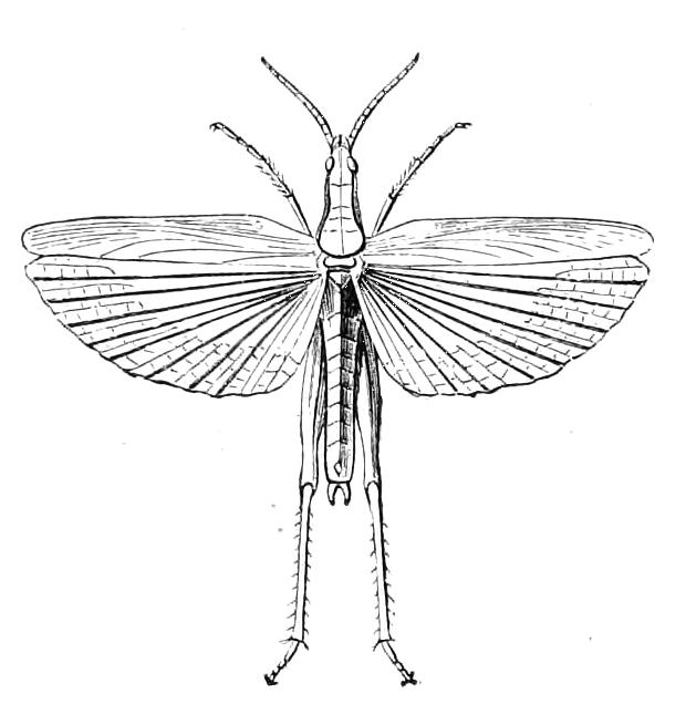 fig183