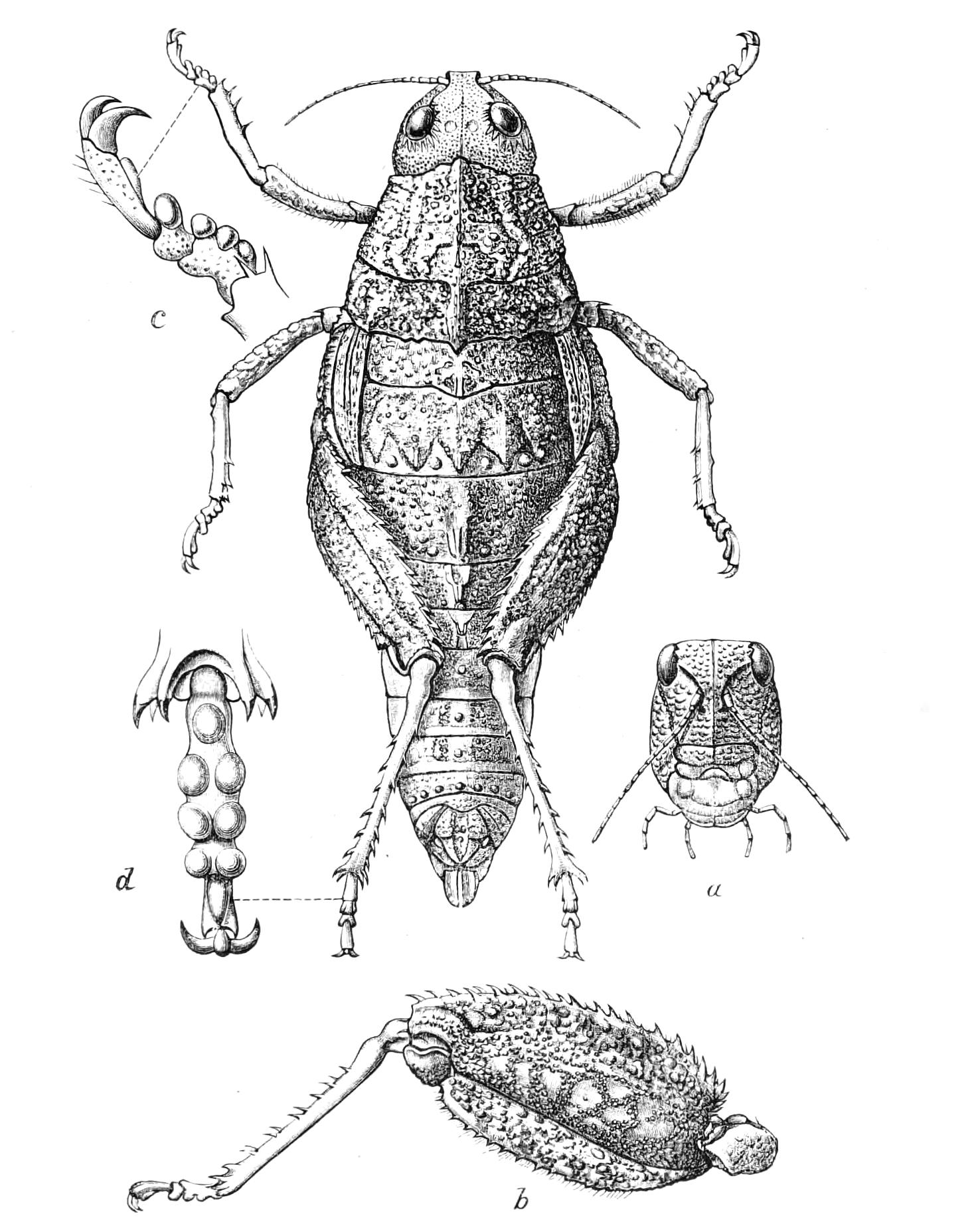 fig185