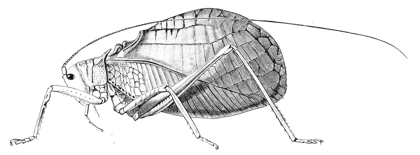fig187
