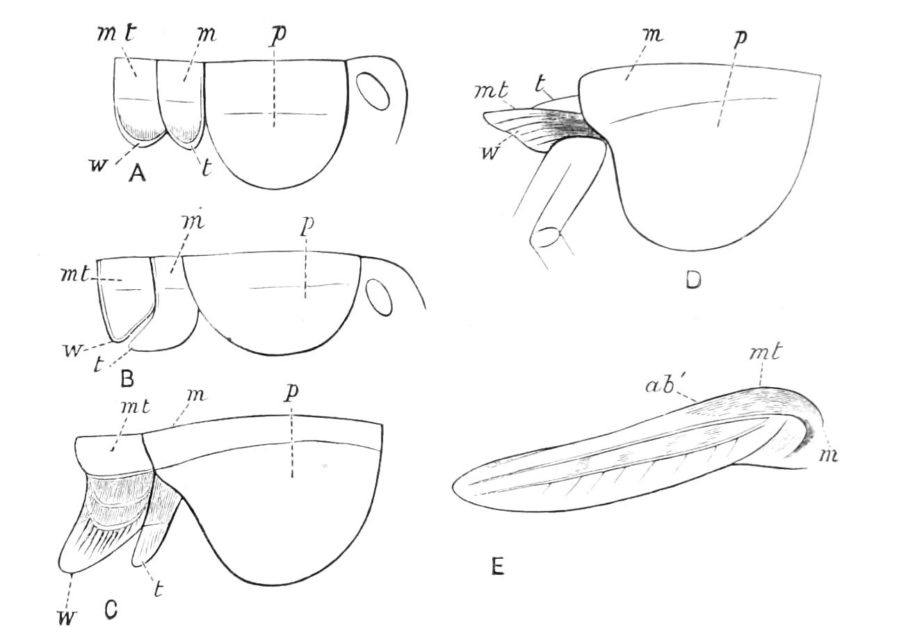 fig188