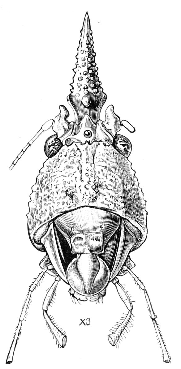 fig189
