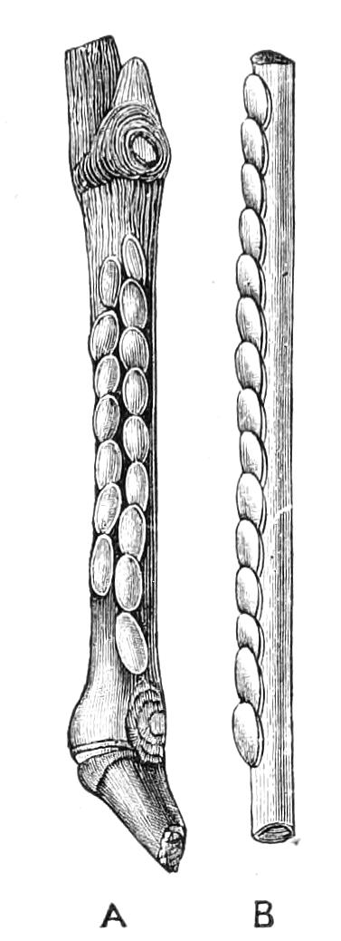 fig190