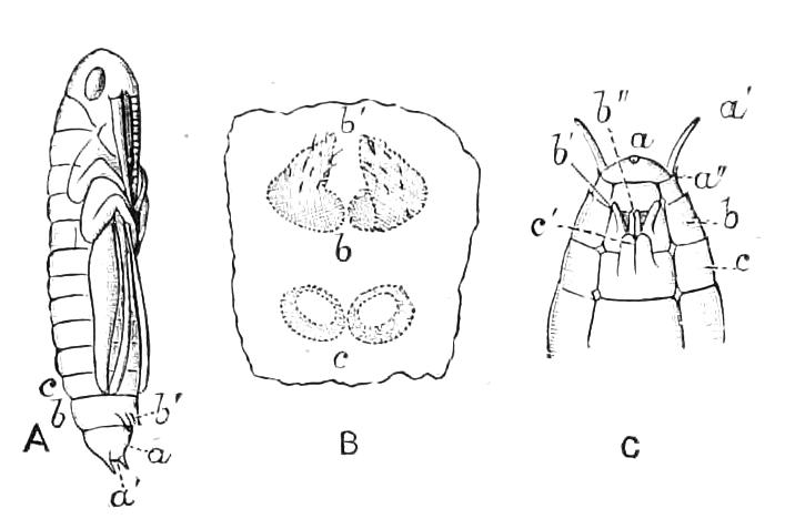 fig191