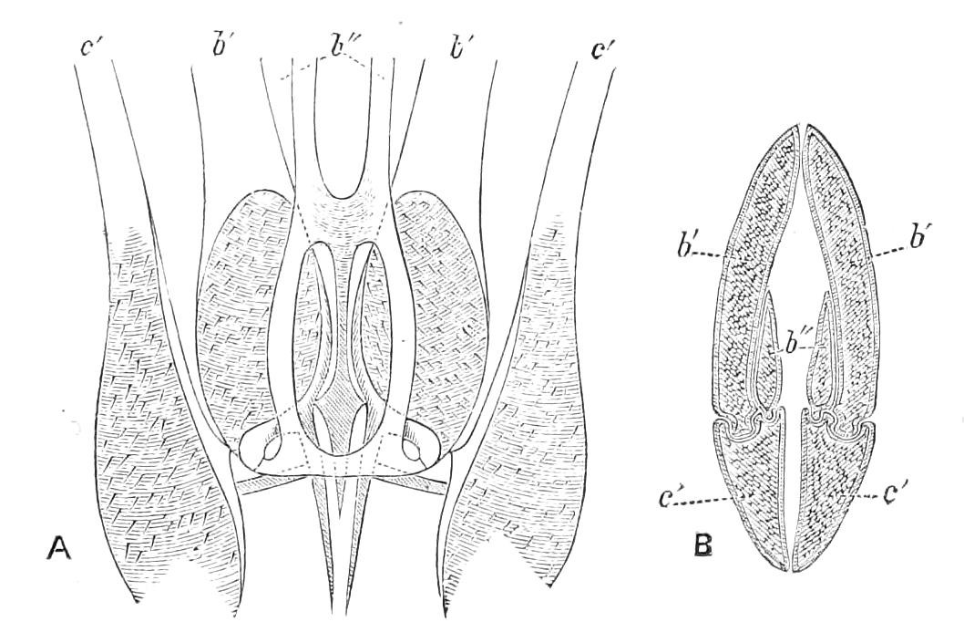 fig192