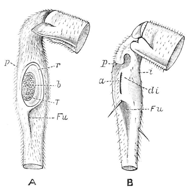 fig193