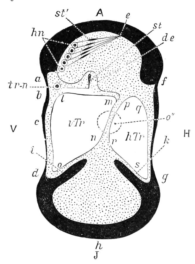 fig194