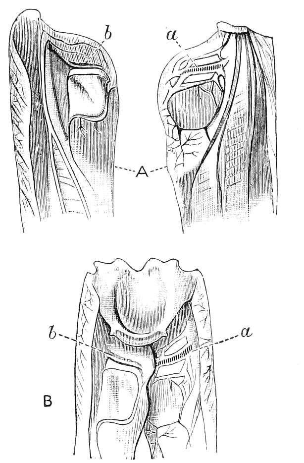 fig195