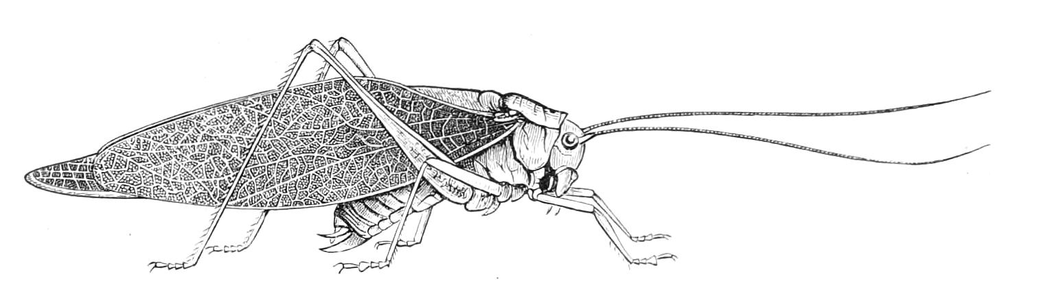 fig196