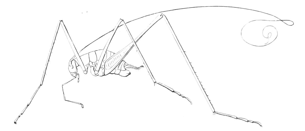 fig197
