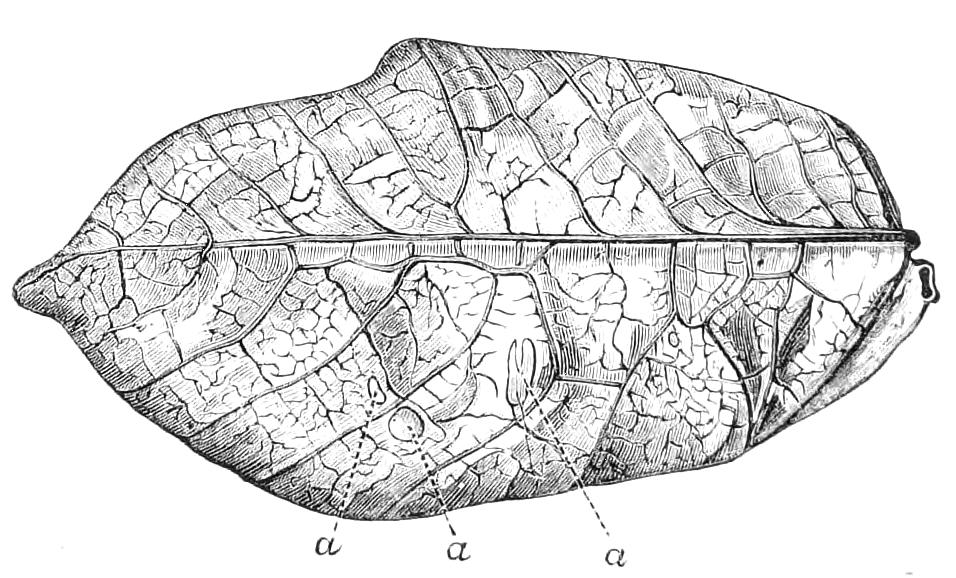 fig198