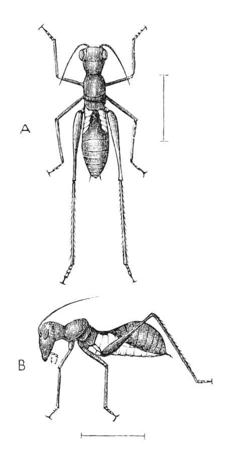 fig199