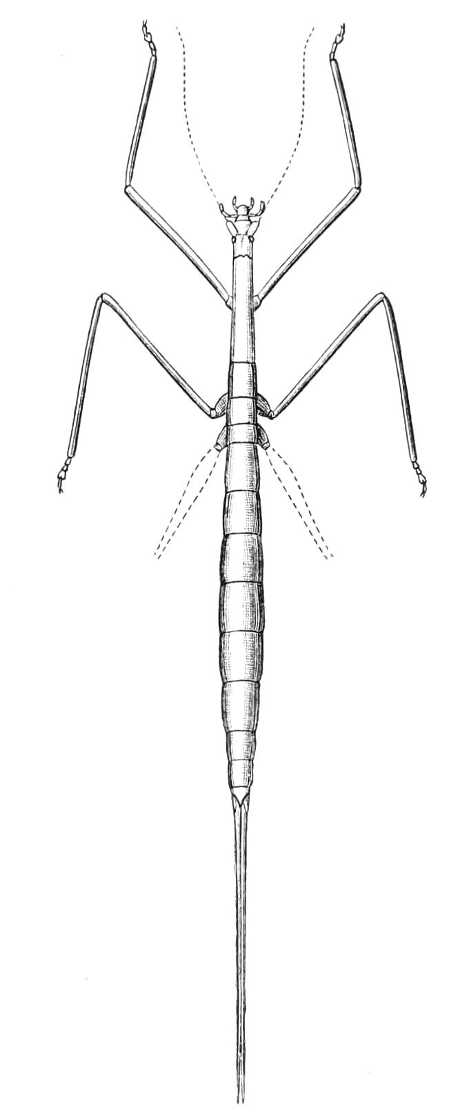fig200