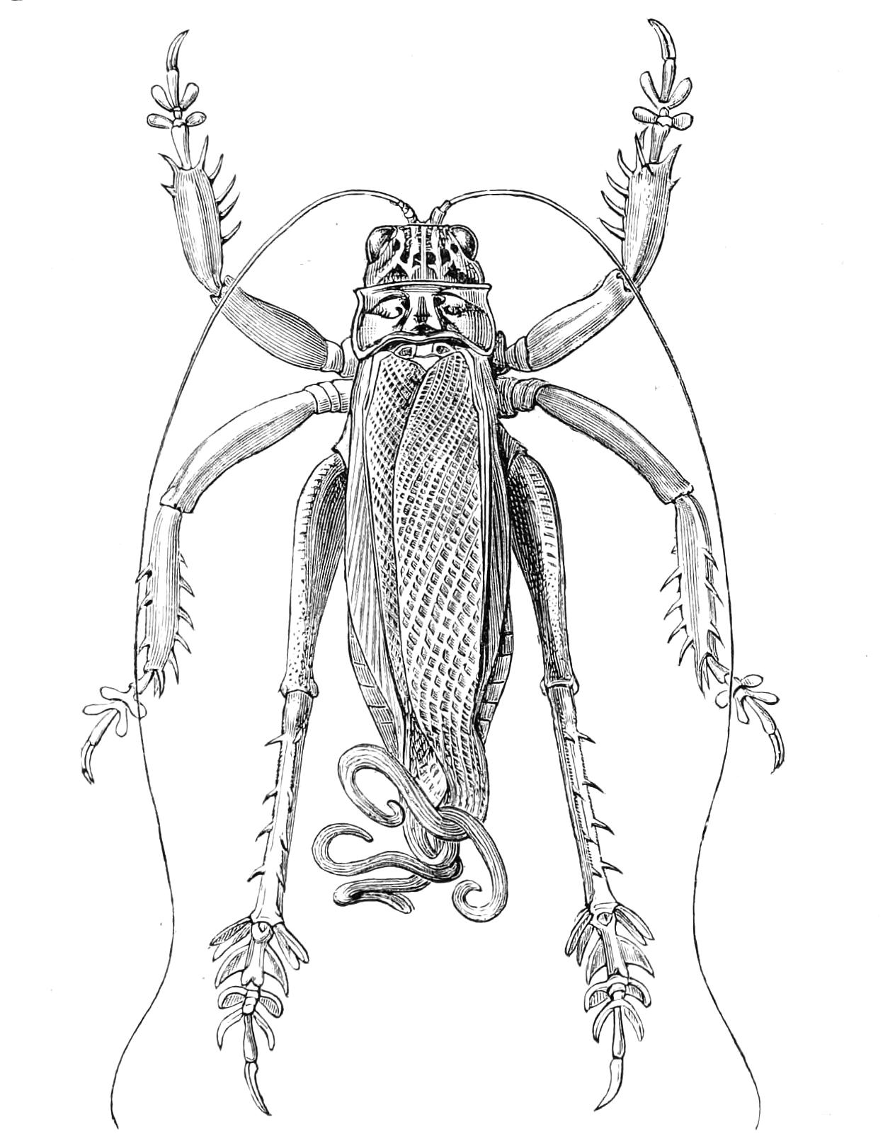 fig201