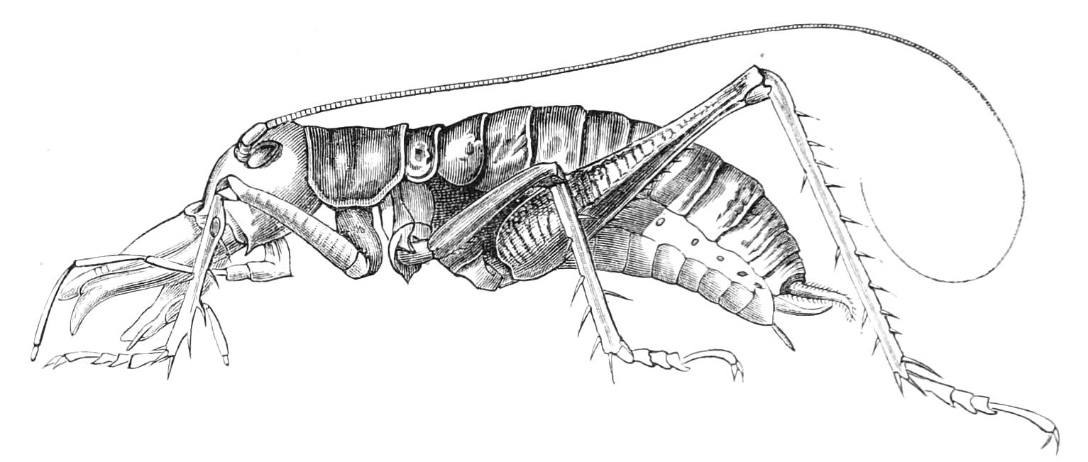 fig202