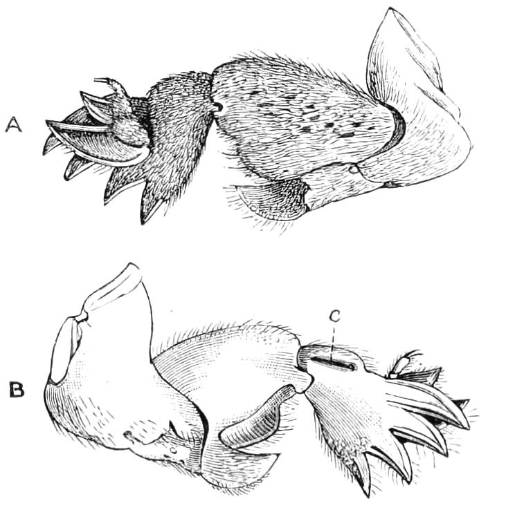 fig206
