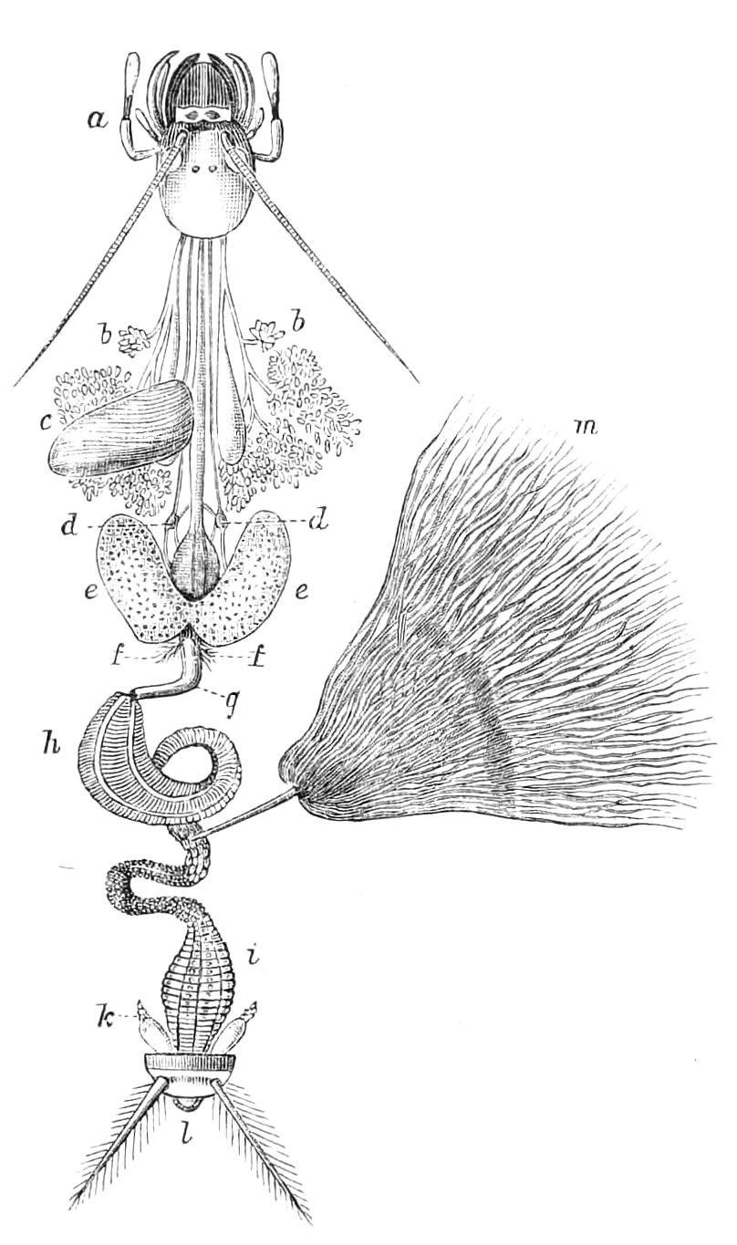 fig207