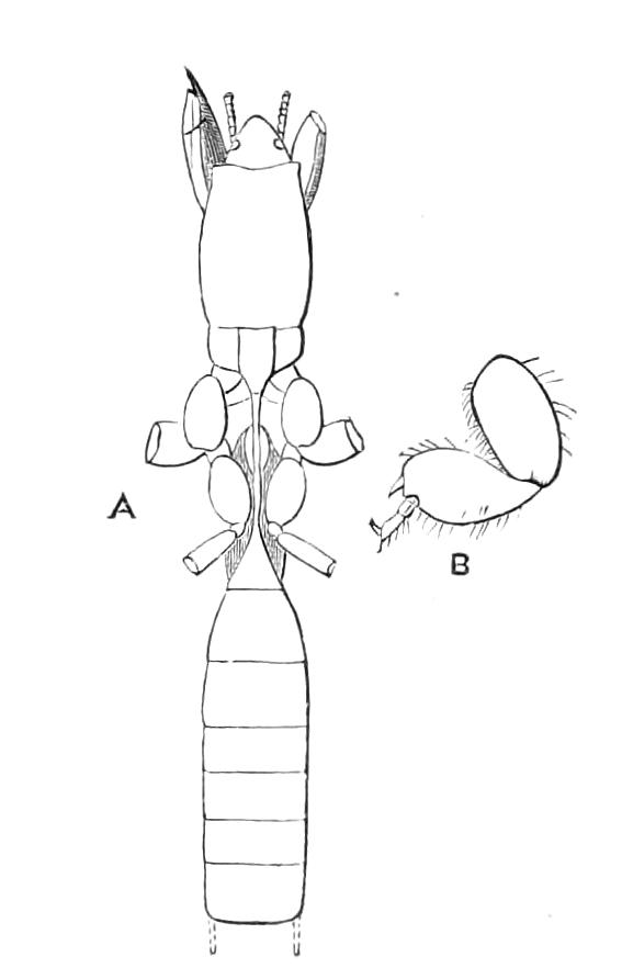 fig208