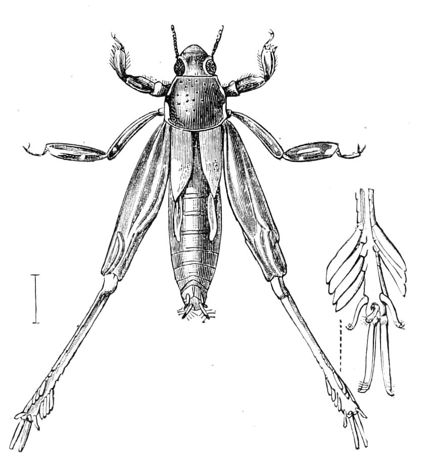 fig209