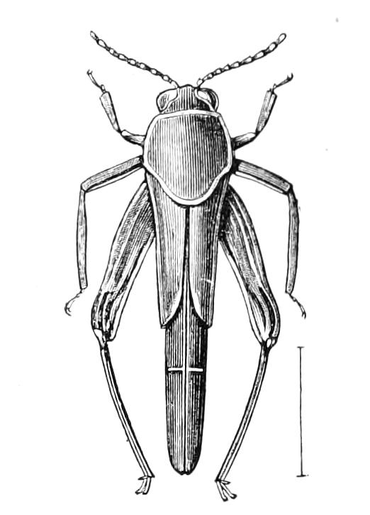 fig210
