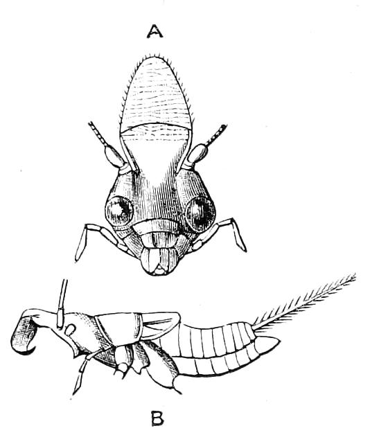 fig211