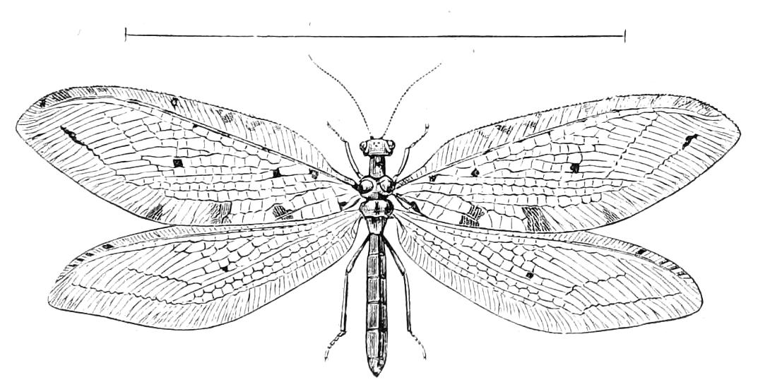 fig212