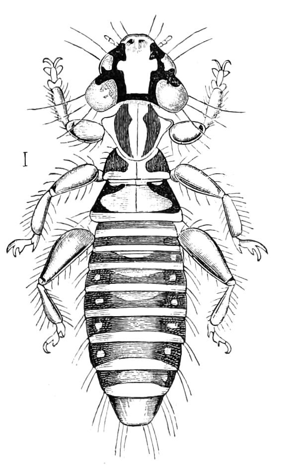 fig214
