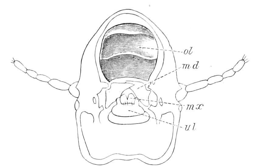 fig215