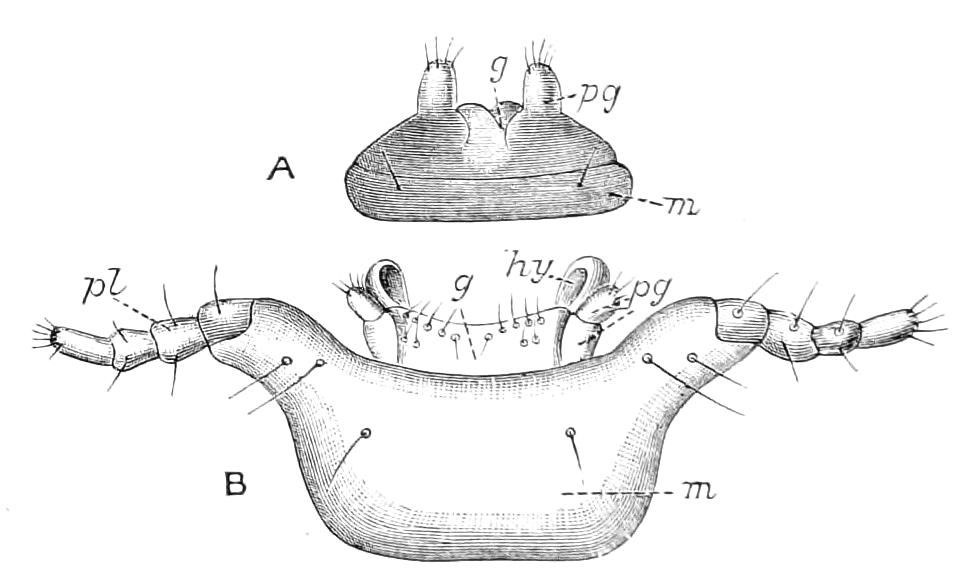 fig216