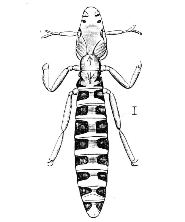 fig219