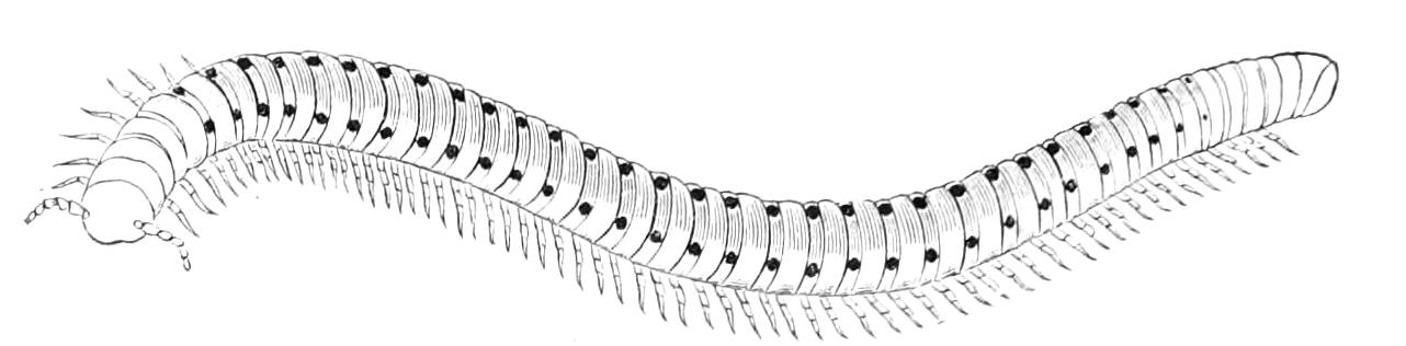 fig22