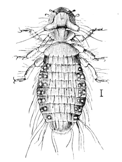 fig221
