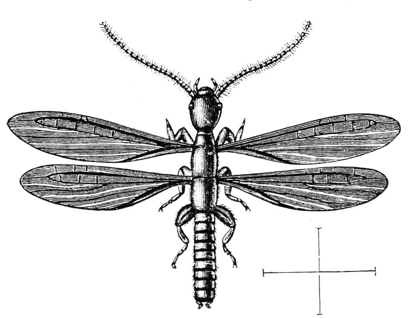 fig222
