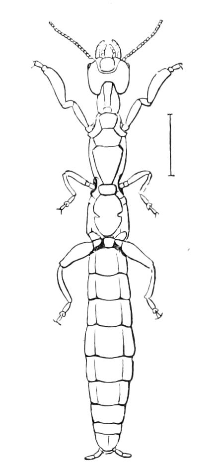 fig223