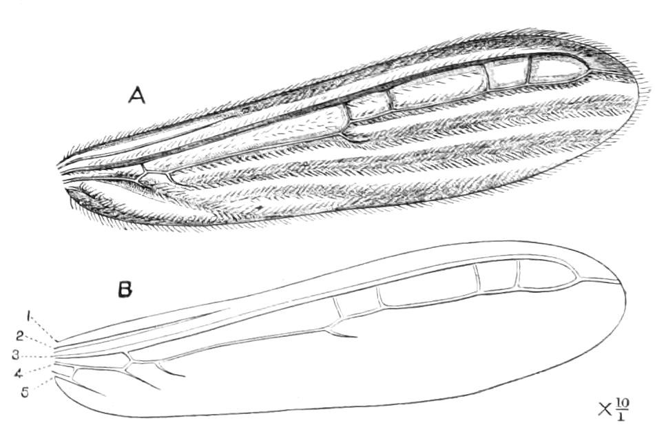 fig224