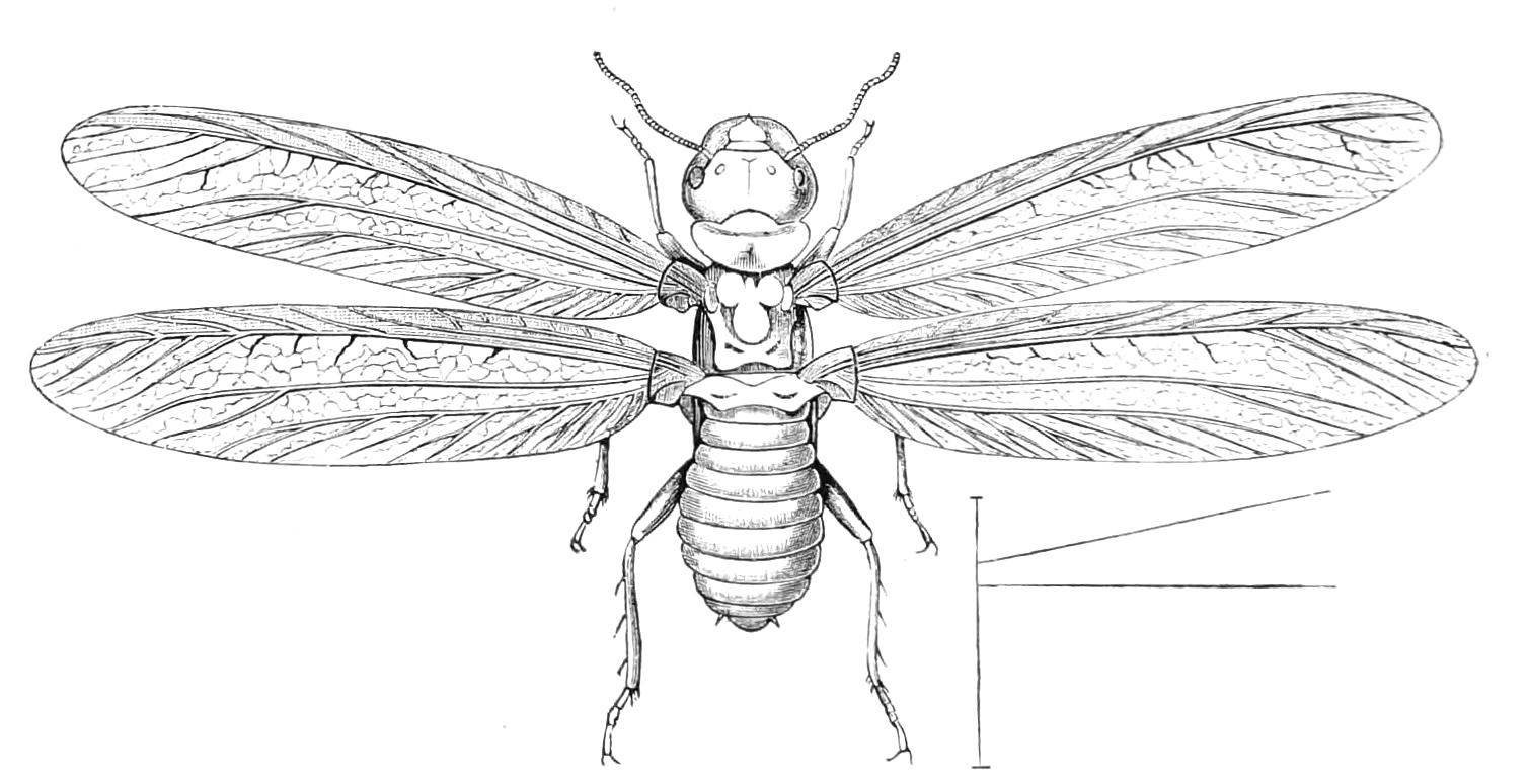 fig225