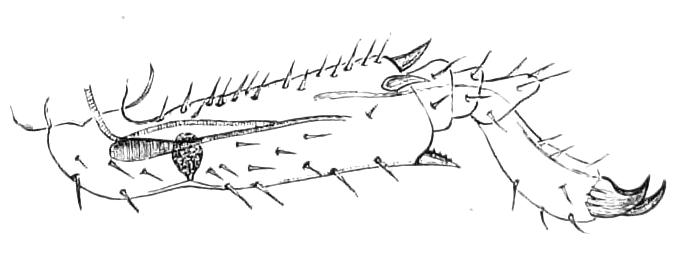 fig227