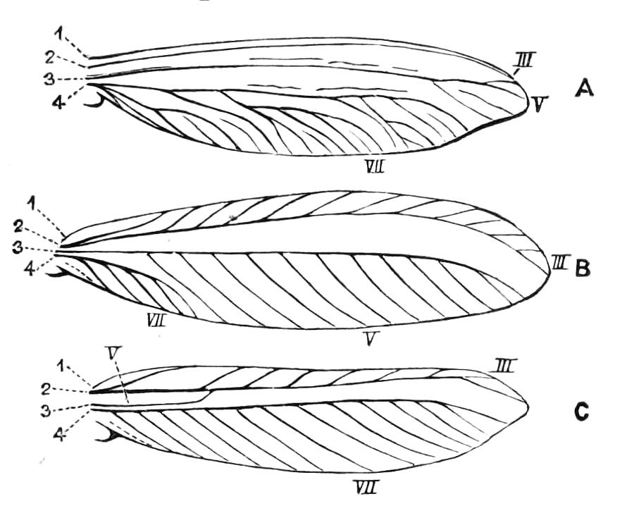 fig228
