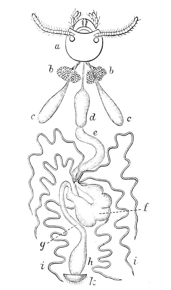 fig229