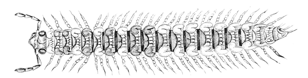 fig23