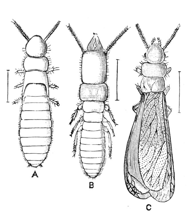 fig230